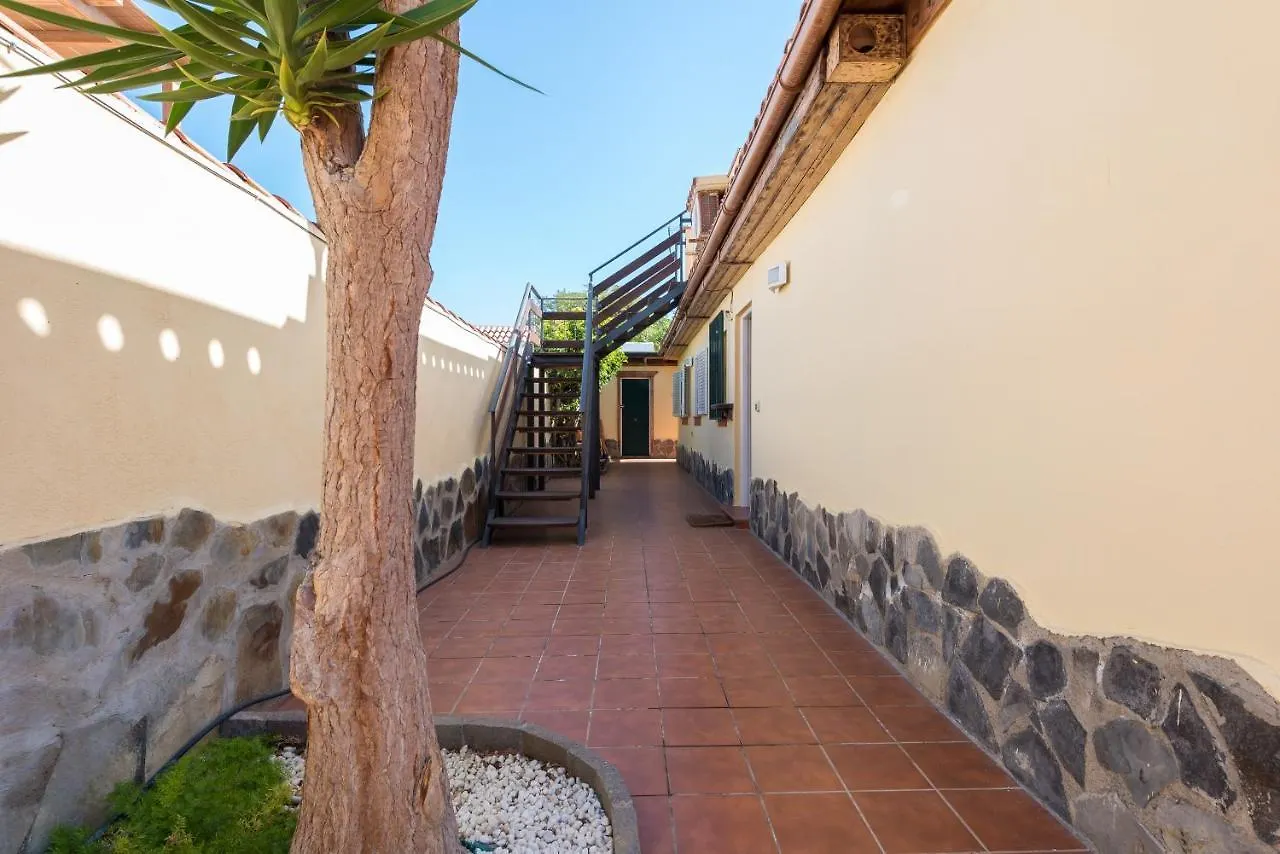 Villa Violeta أرونا