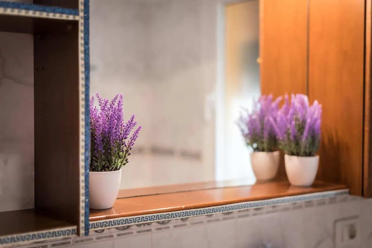 Villa Violeta أرونا